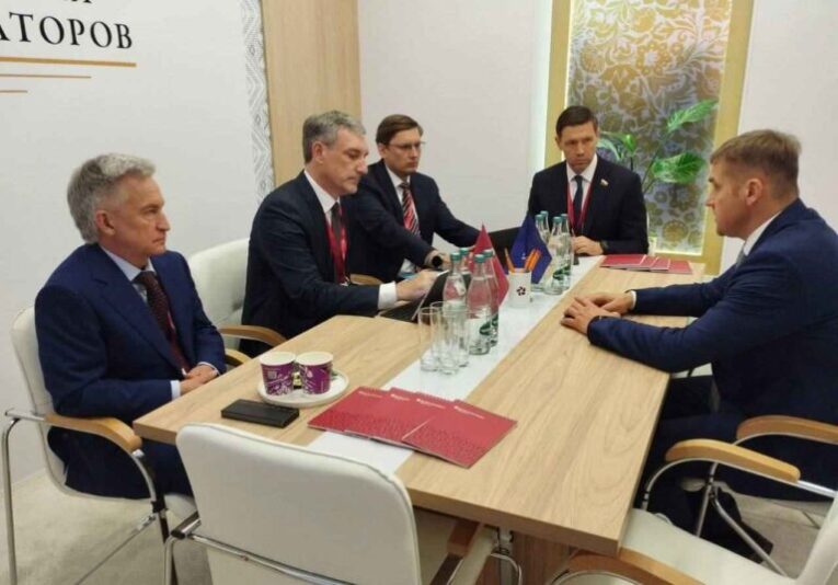 ТОР «Амурская» могут расширить под ветроэлектростанцию «Росатома»