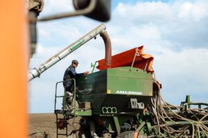 урожай 2025 амурская область