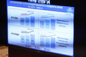 социальная политика 2025