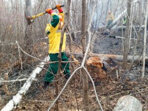 В Хабаровском крае четыре лесных пожара возникли из-за ландшафтного огня