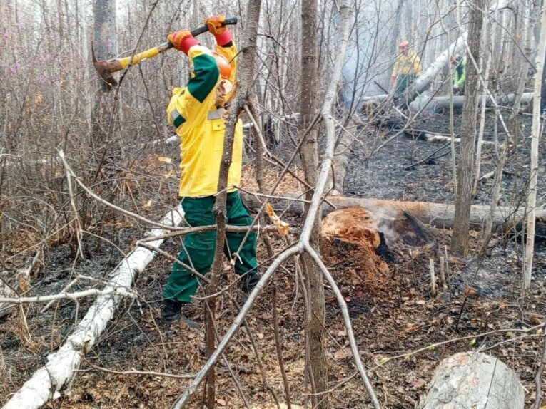 В Хабаровском крае четыре лесных пожара возникли из-за ландшафтного огня