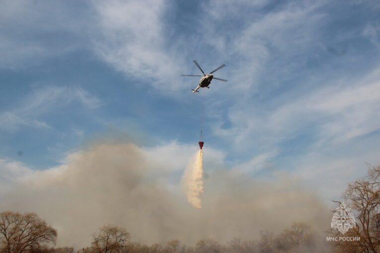 На острове Кабельный в Хабаровске полыхали 20 гектаров сухостоя