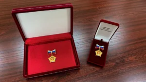мать героиня