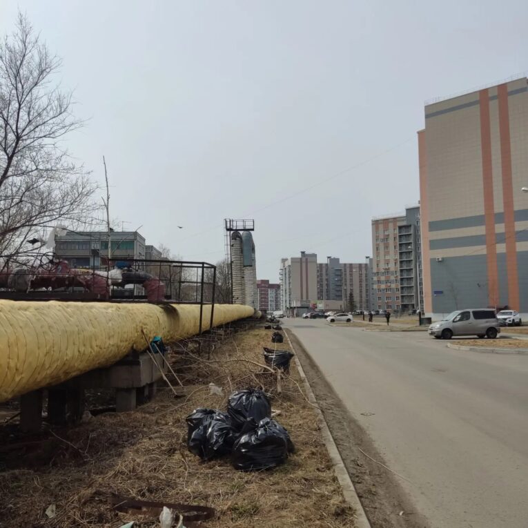 Энергетики Хабаровска присоединились к очистке города от мусора