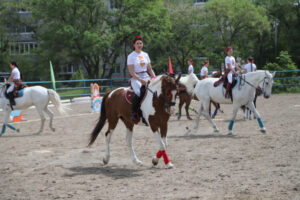 конный спорт