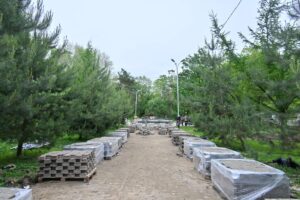 Кравчук: за реконструкцией хабаровских бульваров установят общественный контроль