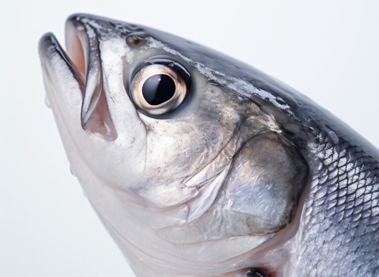 Китай скупает дальневосточные морепродукты