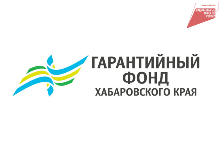 В Хабаровском крае бизнес расширяет оказание соцуслуг населению