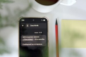 Телефонные мошенники в ДФО: портрет жертвы и главные схемы обмана