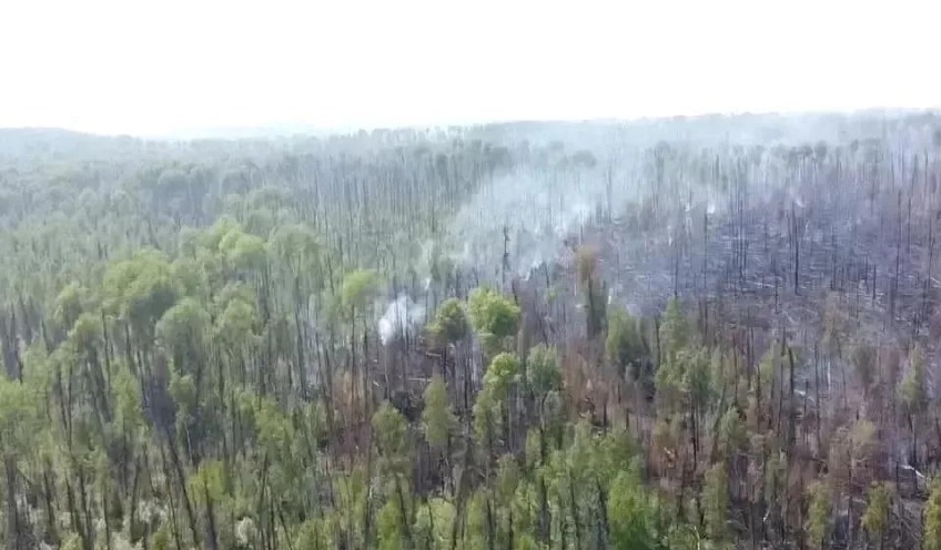 Забайкальские пожарные-десантники спасают Сибирь от огня