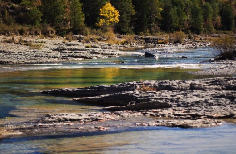 Золотодобытчика в Забайкалье оштрафовали за сброс грязной воды в реку