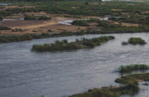 паводок хабаровский край