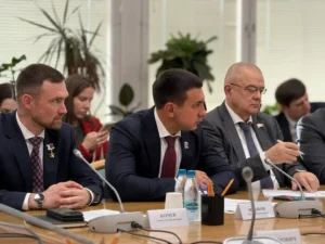 Кредиты под 2% на газификацию домов: Олег Кожемяко поддержал предложение Максима Иванова